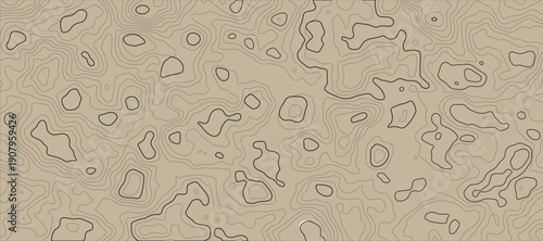 Abstract Contour Pattern Topography Background With Wavy Lines In Sand Tones Texture Graphic or design element for contemporary visuals.