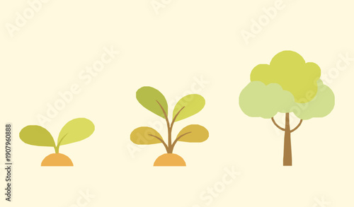 Growing plants and mature tree growth stages flat design vector illustration