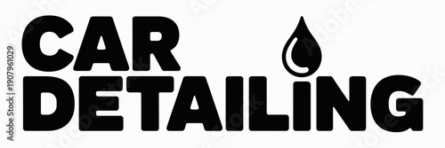 Minimalist Car Detailing typography logo – Ideal for high-end auto spas, car maintenance businesses, or professional letterheads.