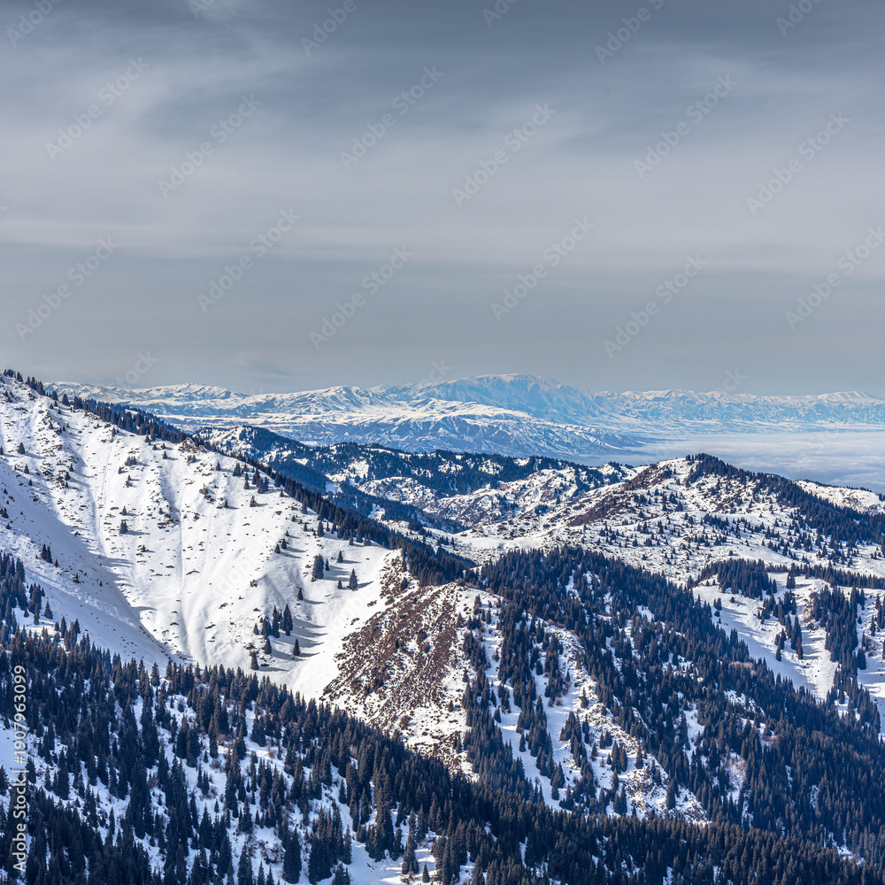 Fototapeta premium Landcsape, mountain. winter, city, trees, sport, alps, sking.