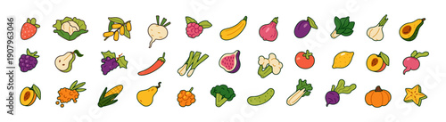 Natural fruit and vegetables set. Different agricultural crops: avocado, cabbage, pumpkin, tomato. Farm food, berries and tropical harvest. Flat isolated vector illustrations on white background