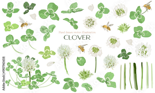 水彩で描いたクローバー（シロツメクサ）のパーツ素材セット