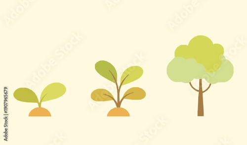 Growing plants and mature tree growth stages flat design vector illustration