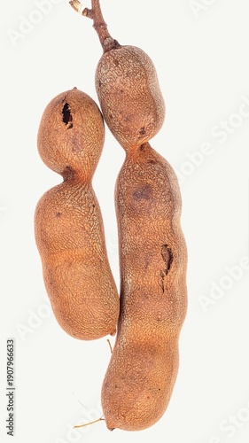 Fresh Tamarind Pods Isolated on White Background, Brown Tangy Fruit with Sticky Pulp for Cooking and Natural Flavor Concept