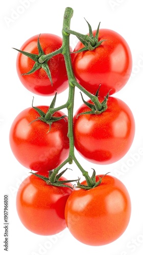 Fresh Tomato Isolated on White Background, Solanum lycopersicum Ripe Red Fruiting Vegetable Concept
