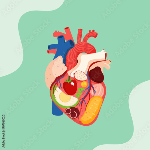 Anatomical Human Heart Illustration Detailed View.