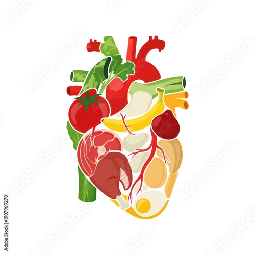Human Heart Anatomy Illustration Detailed View.