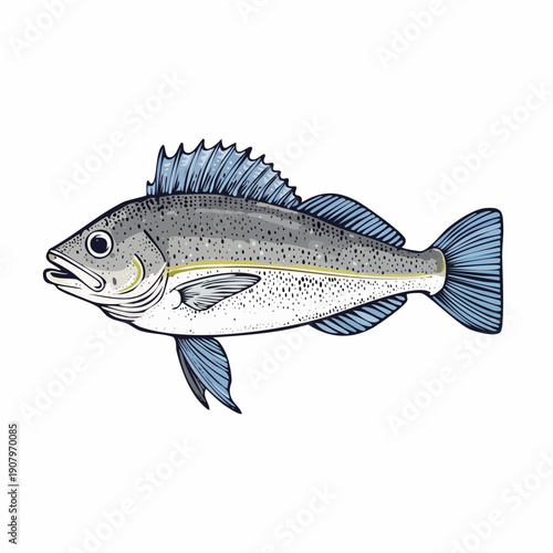 Illustration of a fish with blue fins and gray scales swimming in the ocean viewed from the side