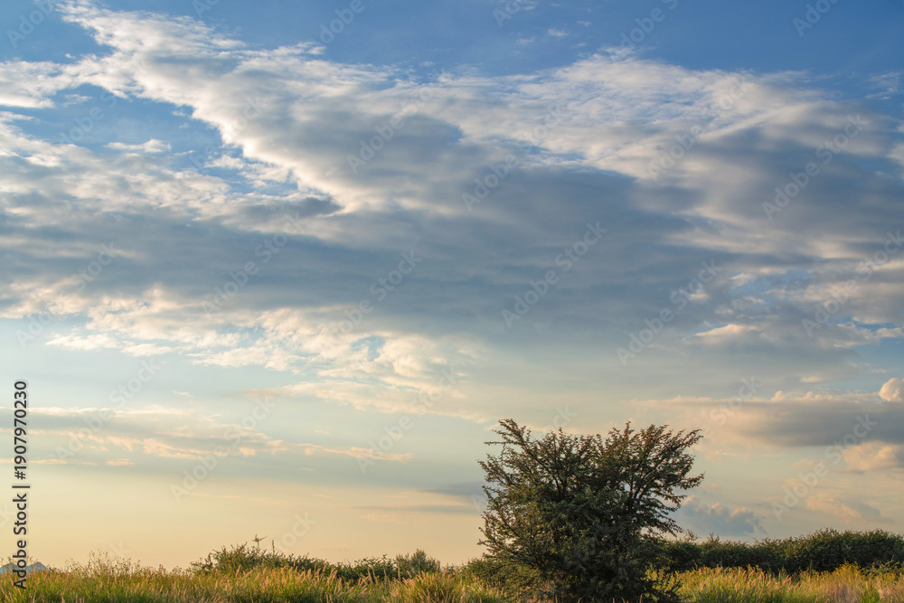 Obraz premium Paysage de Namibie au lever du jour