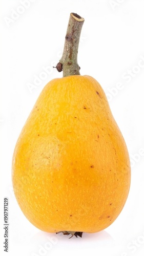 Photos Loquat Exotic Yellow Fruit Isolated on White Background for Premium Tropical Foo