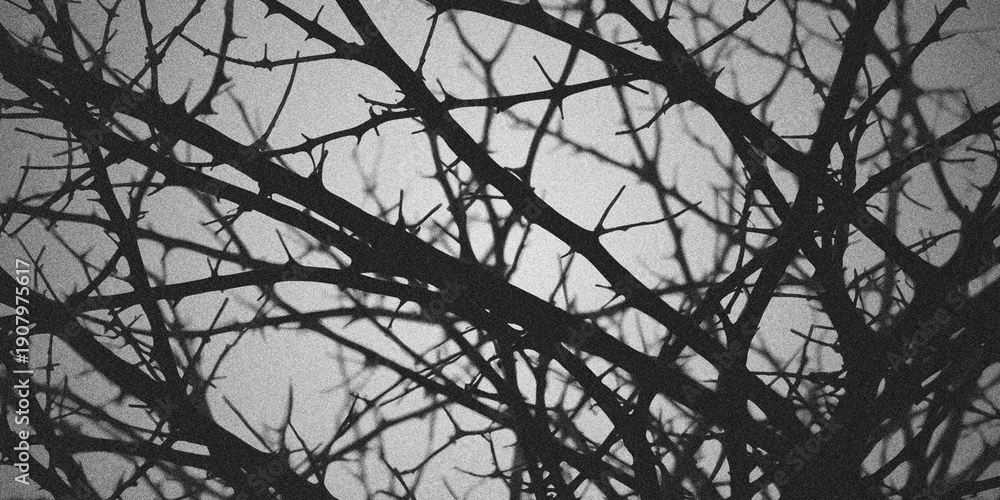 Fototapeta premium Thorny Branches Grunge Background