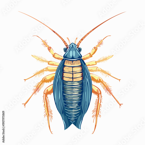 Detailed illustration of a blue cockroach viewed from above, showcasing its anatomy and vibrant color