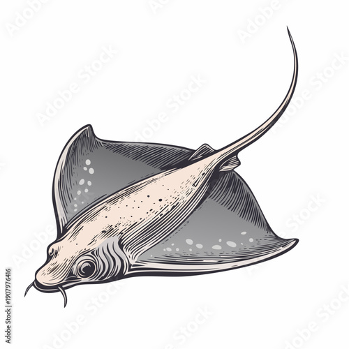 An illustration of a majestic stingray swimming near the ocean surface from a side viewpoint