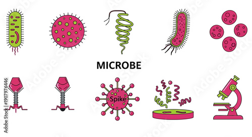 Collection of illustrated microbes including bacteria viruses and laboratory equipment