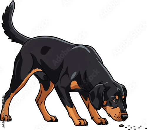 Slovensky Kopov Dog sniffing ground alert focused scenting pose