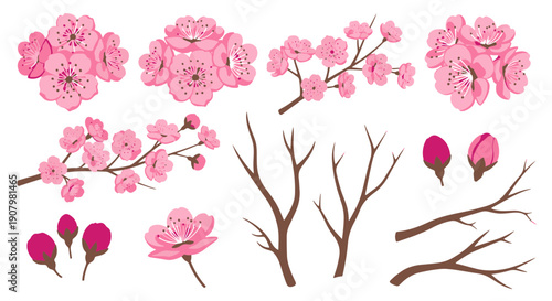 Beautiful Pink Cherry Blossom Branches with Delicate Petals and Brown Twigs Against a Black Backdrop Symbolizing Spring and Renewal in Natures Artistry