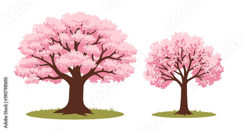 Vibrant Blooming Cherry Blossom Trees in Full Pink and White Floral Display Set Against a Solid Black Background with a Hint of Green Grass at Their Bases Creating a Visually Striking Natural Scene