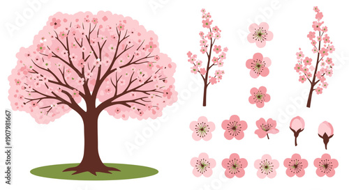 Beautifully Illustrated Japanese Cherry Blossom Tree in Full Bloom with Scattered Petals and Individual Flowers Branches in Various Arrangements on Black Background