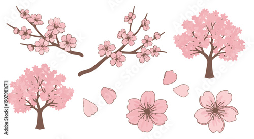 Delicate Pink Cherry Blossoms Adorn Brown Branches and Full Trees with Fallen Petals Scattered Across a Dark Background Representing Springs Ephemeral Beauty