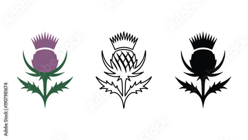 Three stylized thistle illustrations in purple, outline, and black.