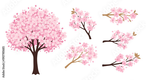 Vibrant Pink Cherry Blossoms Bloom Abundantly on a Majestic Tree with Scattered Petals Drifting Gracefully in a Serene Springtime Scene Symbolizing Renewal and Natural Beauty