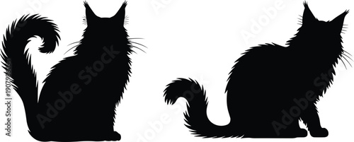Two cat silhouettes, fluffy tails, sitting posture, feline artwork, domestic pet vector illustration, animal design graphic, minimal black shape composition