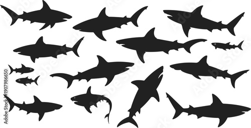 Shark animal silhouette set, flat vector illustration, sea predator fish poses collection, black shark shapes isolated on white