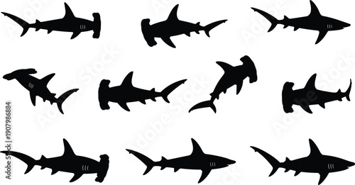 Hammerhead shark silhouette collection, flat vector illustration, ocean predator fish poses set, black marine animal shapes isolated white