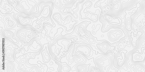 Artistic Modern Terrain Elevation Contour Line Map with Clean White Paper Relief Landscape Design
Abstract Topographic Texture Seamless Banner Background