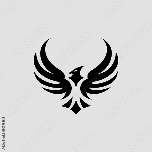 A black and white image of a bird with its wings spread out