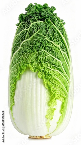 Green Cabbage Head Isolated on White Background, Fresh Leafy Vegetable for Cooking, Fermentation, and Healthy Nutrition Concept