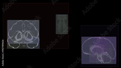 Multilayer neural segmentation. Network visualization for biohacking and metaverses. Digital neural map.