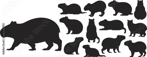 Capybara silhouette mega set with multiple poses and actions, wildlife rodent illustration collection, black animal shapes isolated