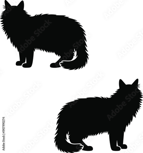 Fluffy cat silhouette standing side view with long fur tail isolated on white background pet animal vector illustration