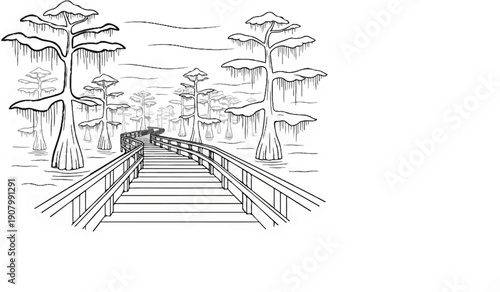 Wooden walkway winds through a serene cypress swamp with Spanish moss