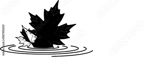 Two black and white maple leaves float on rippling water