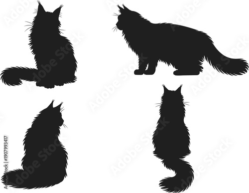 Fluffy long haired cat silhouette collection showing sitting side and back views isolated on white background detailed animal vector