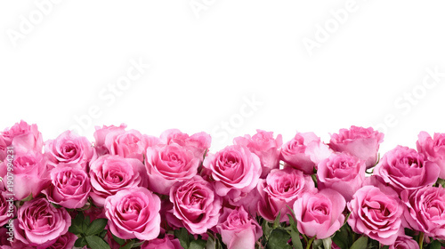A beautiful pink rose arrangement with green leaves on a png transparent