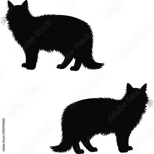 Fluffy cat silhouette standing side and back view with long fur tail isolated on white background pet animal vector