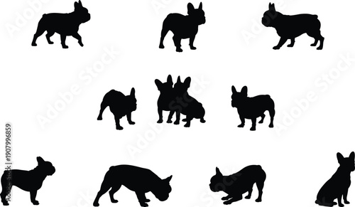 French bulldog silhouette set walking standing sniffing group poses black dog shapes isolated white background pet flat vector illustration