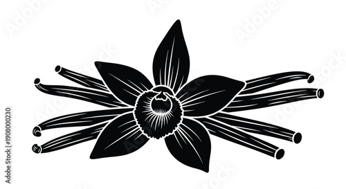 Black and white illustration of a vanilla bean flower with detailed petals