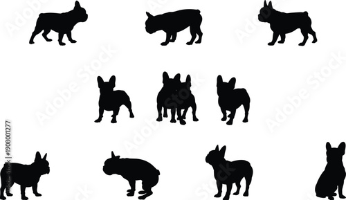 French bulldog silhouette set walking standing sniffing poses black dog shapes isolated white background pet flat vector illustration design collection