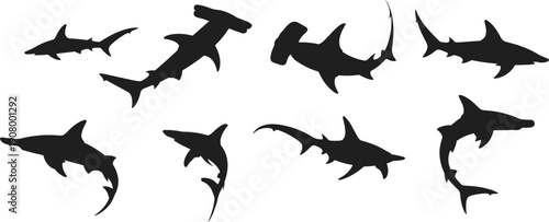 Hammerhead shark silhouette set, flat vector illustration, ocean predator fish poses collection, black marine animal shapes isolated white