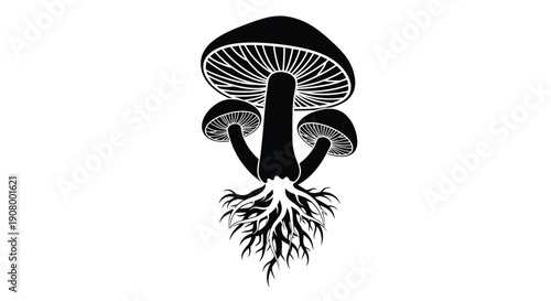 Stylized black and white illustration of mushrooms with visible root system