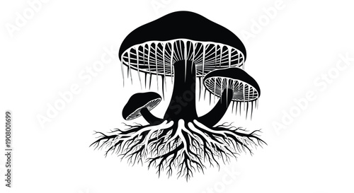 Detailed black and white illustration of clustered mushrooms with intricate roots