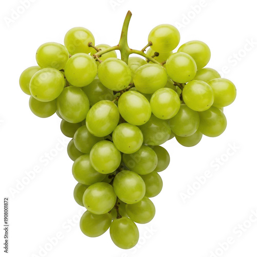 A cluster of green grapes hanging from a vine, ready to be harvested isolated on transparent background