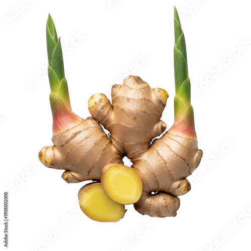 Fresh ginger roots with green stems and yellow fruits on a white background isolated on transparent background