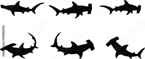 Hammerhead shark silhouette poses set, flat vector illustration, ocean predator fish collection, black marine animal shapes isolated white