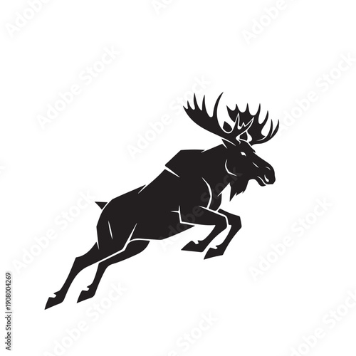 Majestic moose in mid stride with impressive antlers