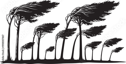 Silhouette of trees swaying in strong wind stormy weather